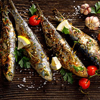 Sardines